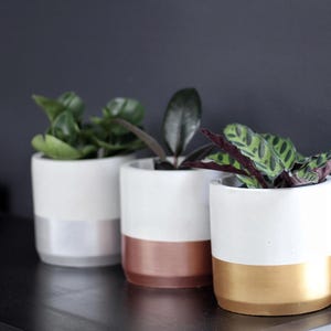 CYLINDER Concrete Planter, Table Planter, Housewarming Gift, Personalized Gift, Mother's Day Gift, Indoor Planter