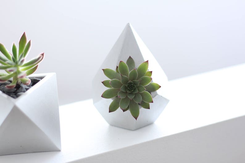 TEARDROP Concrete Planter