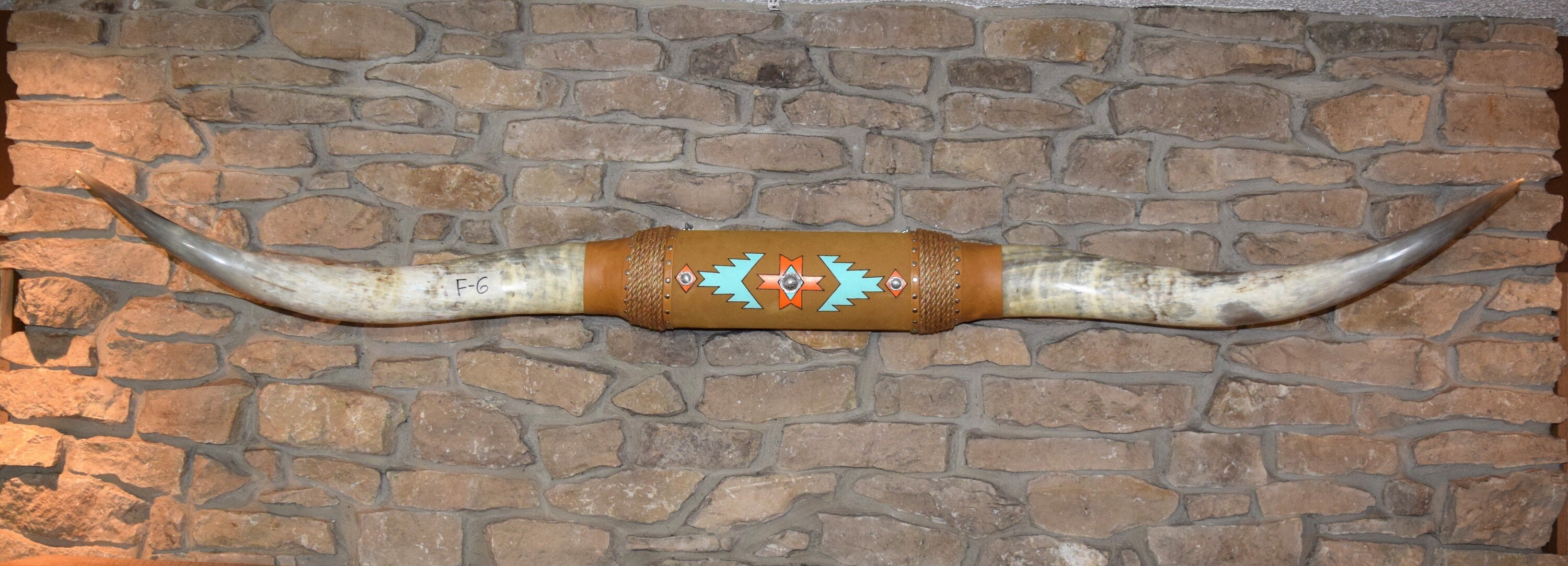 Steer longhorns 7ft 8in bull polished cow horns taxidermy Etsy