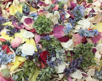 Flower Petals Etsy