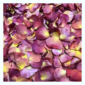 Colorific™ 100 cups Rose Petals freeze-dried. Wedding Petals. Flower Petals. Real Rose Petals. Eco-friendly. Biodegradable. Made in the USA.