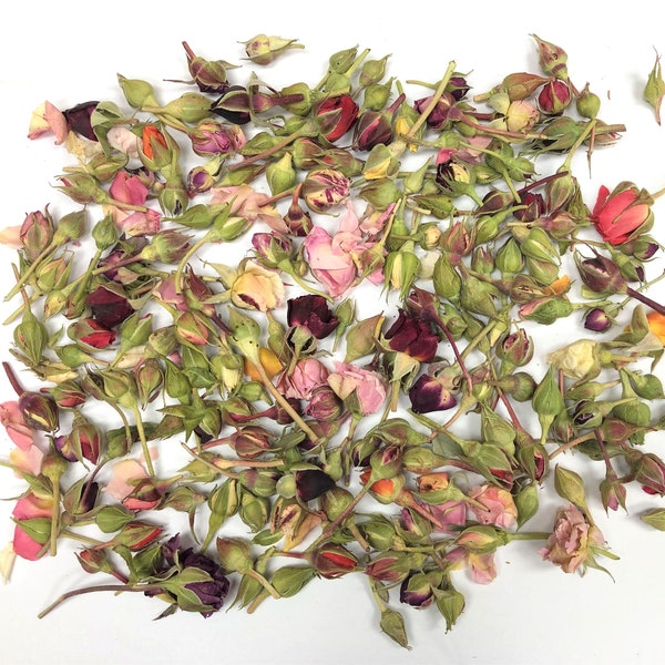 Dried Flowers Bulk Etsy