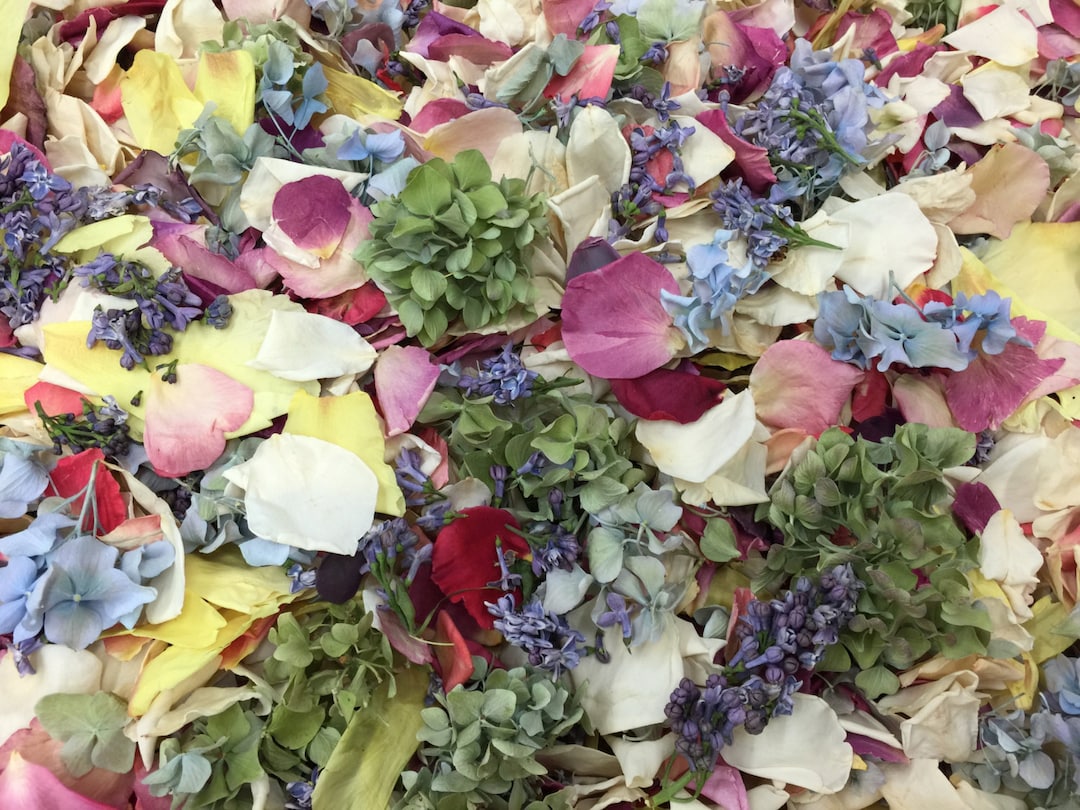 Assorted Flower Petals: 10 Cups Freeze-dried Natural Wedding Confetti, USA Grown - Etsy Israel