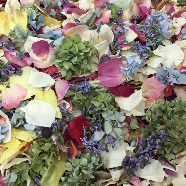 10 cups Real Assorted Flower Petals. Wedding Petals.Natural Confetti.Freeze-dried Petals.Flower Girl Petals.Wedding Decor. Dried Petal. USA