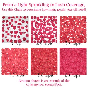 May include: Chart showing different amounts of rose petals needed to cover a square foot. The chart shows 1 cup, 2 cups, 3 cups, 4 cups, 5 cups, and 6 cups of rose petals. The amount shown is an example of the coverage per square foot.