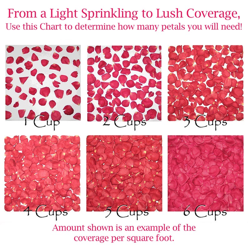 May include: Chart showing different amounts of rose petals needed to cover a square foot. The chart shows 1 cup, 2 cups, 3 cups, 4 cups, 5 cups, and 6 cups of rose petals. The amount shown is an example of the coverage per square foot.