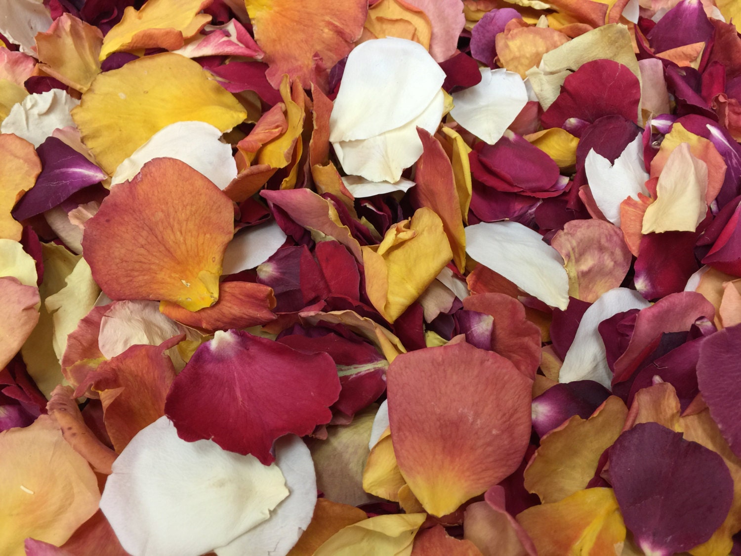 лепестки сушеные розы крымской. лепестки роз вяленые. высушенные розы. сушеные лепестки роз. сушеные лепестки роз.