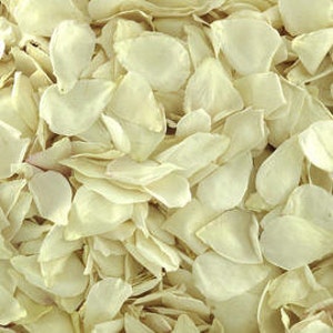 10 cups REAL Iceberg Rose Petals Freeze-Dried, Biodegradable. Flower Petals.Flower Girl Petals. Petal Confetti. Flower Confetti. Wedding USA