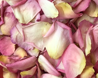 May include: A close-up of a pile of dried rose petals. The petals are a mix of pink and yellow.