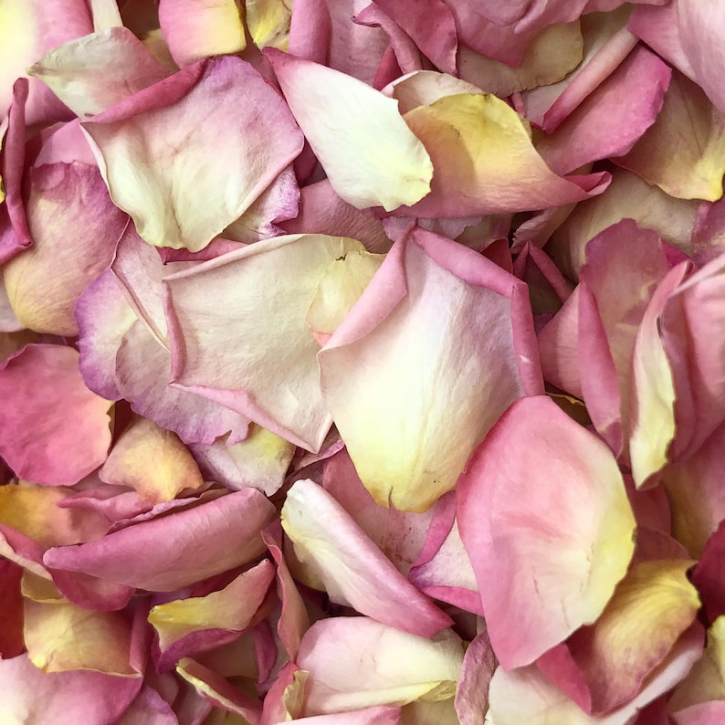 May include: A close-up of a pile of dried rose petals. The petals are a mix of pink and yellow.