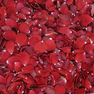 50 Cups Red Rose Petals: Natural Wedding Confetti
