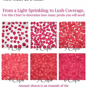May include: Chart showing how many cups of rose petals are needed to cover a square foot. The chart shows six different amounts of petals, from a light sprinkling to lush coverage. The amounts are 1 cup, 2 cups, 3 cups, 4 cups, 5 cups, and 6 cups.