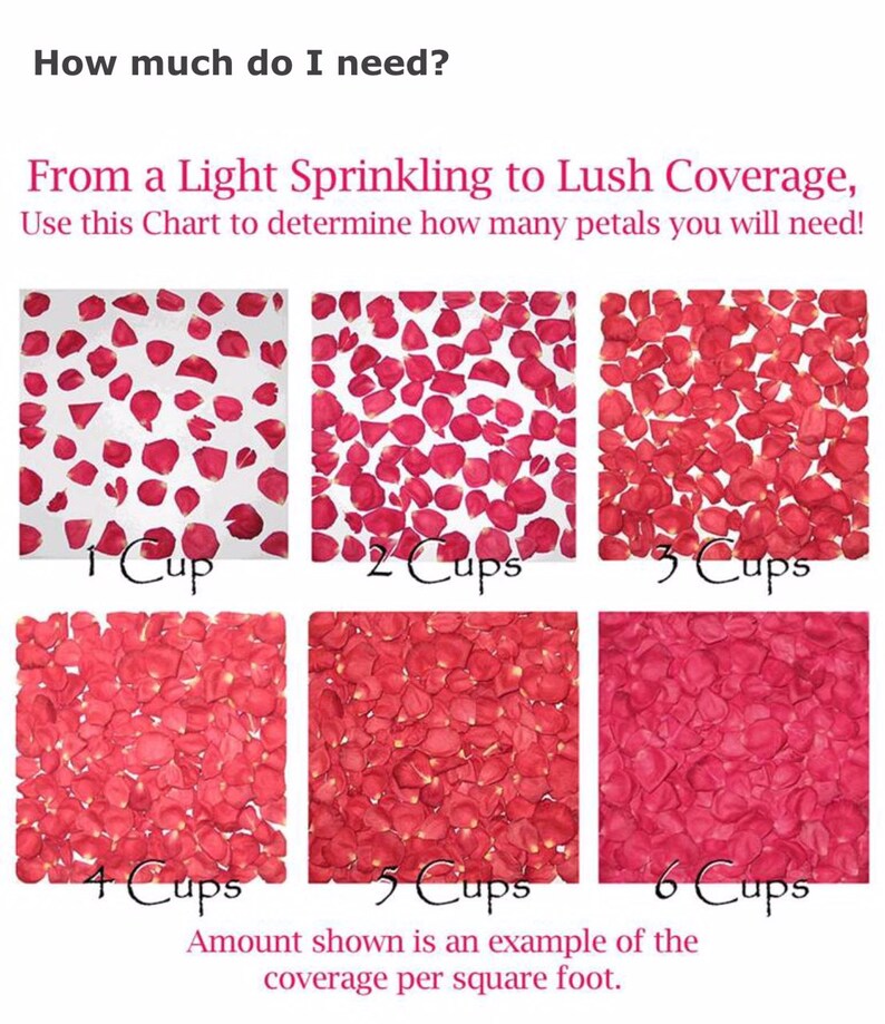 May include: Chart showing how many cups of rose petals are needed to cover a square foot. The chart shows six different amounts of petals, from a light sprinkling to lush coverage. The amounts are 1 cup, 2 cups, 3 cups, 4 cups, 5 cups, and 6 cups.