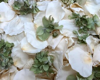 May include: Close-up of a collection of white rose petals and green hydrangea blossoms. The petals are creamy white with subtle brown edges, scattered among the green floral accents. The image conveys a natural, floral theme.