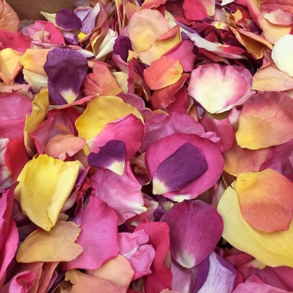 Care Package Rose Petals. Wedding Petals. Freeze dried Petals.Flower Petals. Flower Confetti. 10 cups petals. Petals. USA