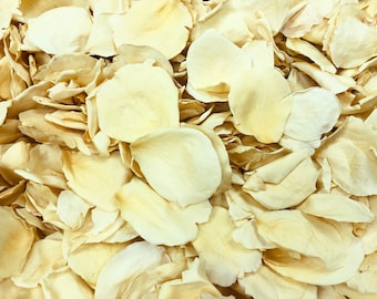 Freeze-Dried Rose Petals: Buttercream, Biodegradable Wedding Confetti,  USA Grown