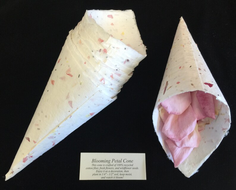 10 Blooming Floral Petal Cones. Set of 10 Petal Cones. Etsy