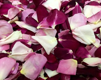 Rose Petals: Timeless.  Biodegradable Confetti. 50 Cups Freeze-Dried Natural Wedding Confetti, Grown in USA