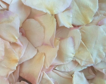 200 cups Pale Pink Blush Rose Petals. Rose Petals. Wedding Petals. Petals. Flower Petals. Wedding Petals.Flower Confetti. Aisle Petals. USA