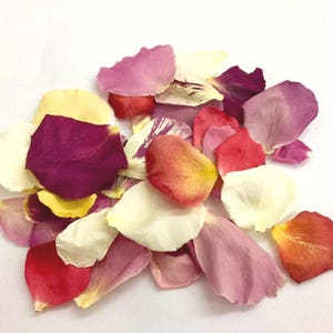 May include: A collection of dried rose petals in various shades of pink, red, yellow, and orange. The petals are scattered on a white surface.