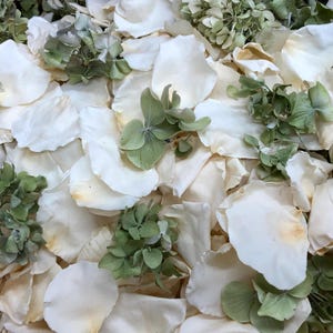 30 cups of our Irish Blend Preserved Freeze-dried REAL Rose & Hydrangea petals. Wedding Petals. Eco-friendly, Biodegradable. Confetti. USA
