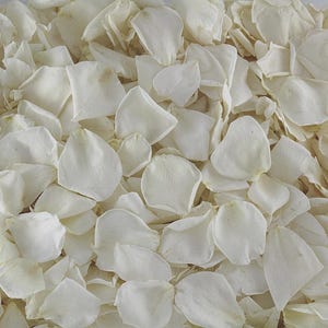 30 Cups Ivory Rose Petals: Freeze-Dried Wedding Confetti