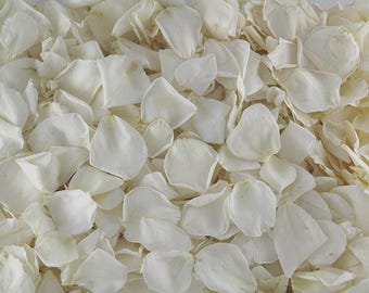Ivory Rose Petals: Biodegradable Confetti. 30 Cups Freeze-Dried Wedding Confetti. USA Grown.