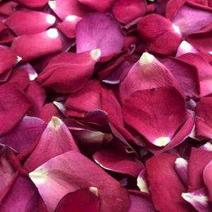 50 Cups Freeze-Dried Rose Petals: Natural Wedding Confetti