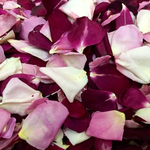 100 cups Timeless Rose Petals. Rose Petals.Wedding Petals.Flower Girl Petals.Freeze Dried Petals.Rose Petals. Petals. Natural Confetti. USA