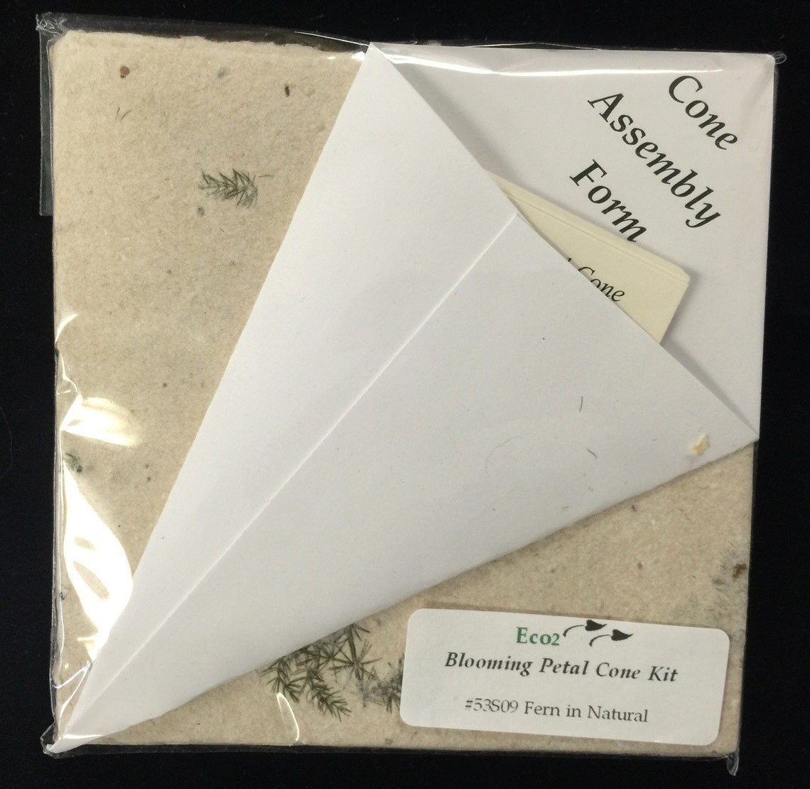 Set of 20 Rose Petal Cones.diy Ecofriendly Blooming Etsy