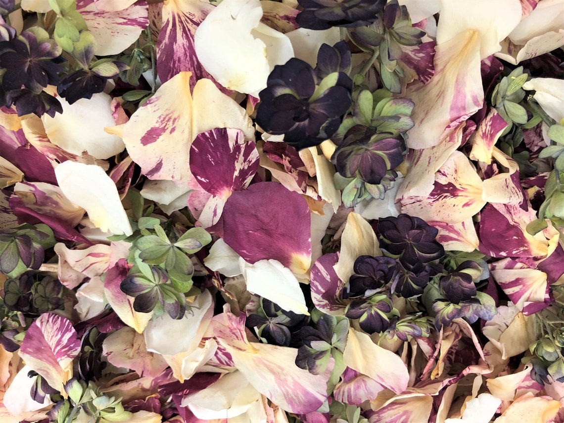 Assorted Flower Petal blend of Wedding Petals, Rose Petals from Flyboy  Naturals