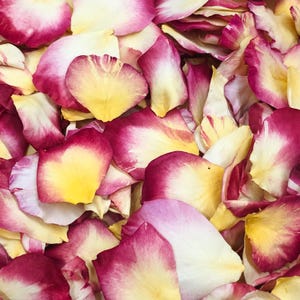 50 Cups - Sunny Love Preserved Rose Petals: Natural Wedding Confetti