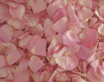 May include: A close-up view of a pile of pink rose petals. The petals vary in shades of pink, from light blush to deeper rose, with some showing hints of yellow at the edges. The image is a close-up, showing the texture and delicate details of the petals.