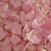 see more listings in the LUXURY PETALS section