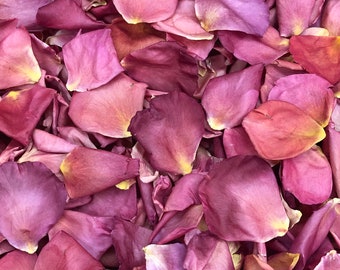 Freeze-Dried Rose Petals: Natural Biodegradable Wedding Confetti (10 Cups)