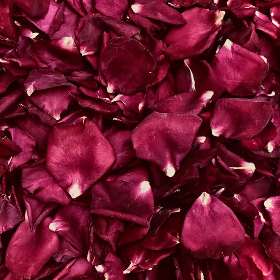 Rose Petal Tapestry Kids Necktie Rose Petal Tapestry Kids Necktie