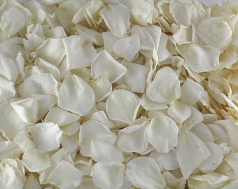 Ivory Rose Petals: Biodegradable Confetti. 50 Cups, Freeze-Dried, Natural Wedding Confetti. Oregon, USA Grown.