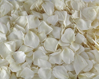 50 cups REAL Rose Petals Freeze-Dried, Biodegradable Ivory Rose Petals. Aisle Petals.Natural Confetti.Flower Petals.Flower Girl Petals. USA