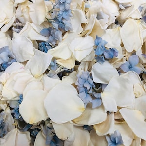 Almost Sold Out!  Something Blue Blend. 30 cups Preserved freeze-dried REAL rose & hydrangea petals. Wedding Flowers.Flower Girl Petals USA