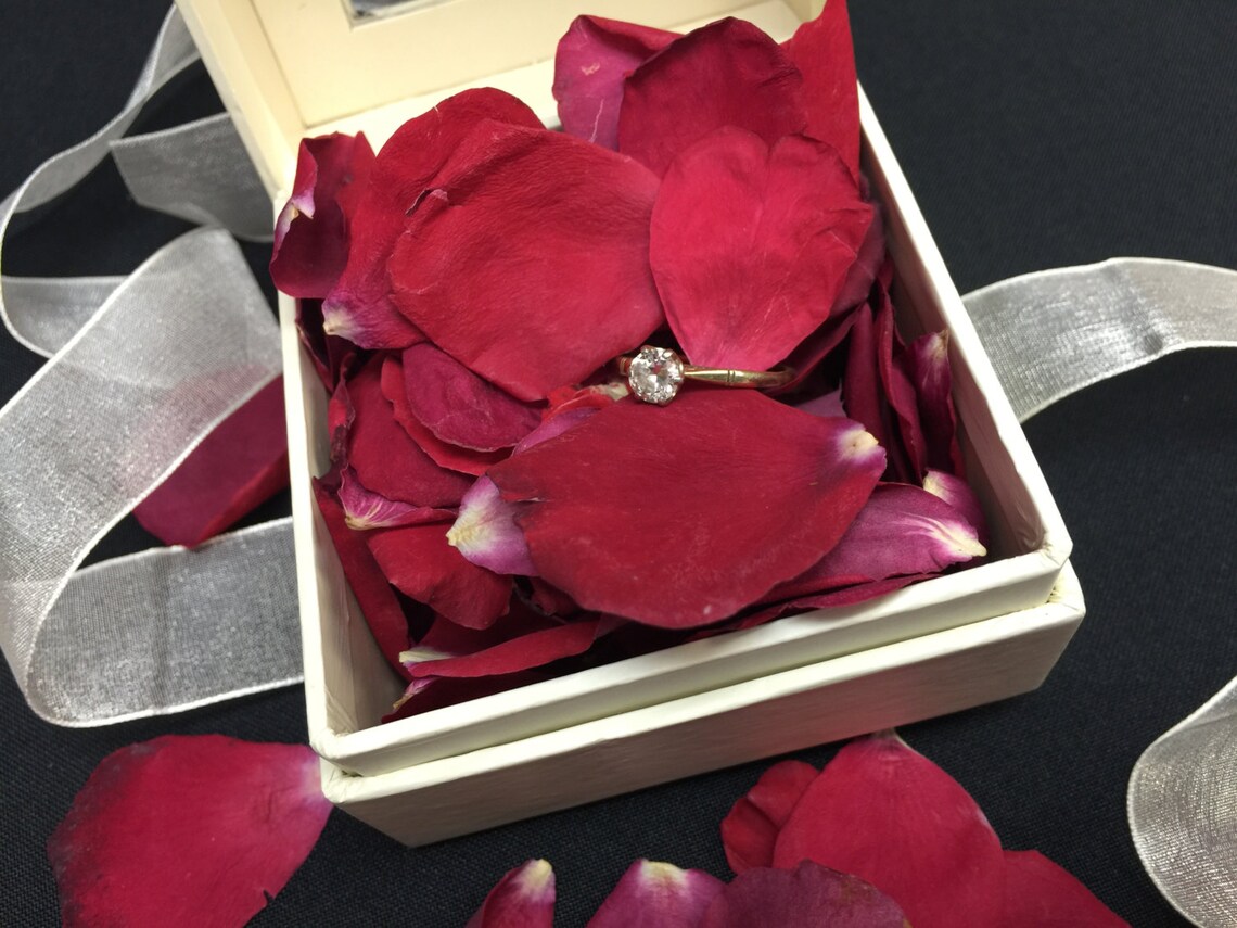 Wedding Proposal Petals. 30 Cups. Red Rose Petals. Marry Me. Etsy