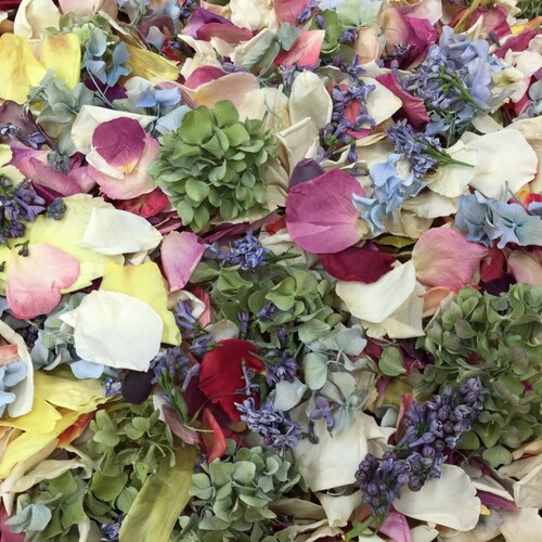 Assorted Flower Petals.30 Cups.wedding Petals.flower Petals. Etsy