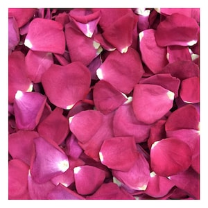 30 cups. BIG Sale on 10 colors of Real Rose Petals. Freeze-dried Wedding Petals. Flower Confetti. Dried Petals. Regular 74.95 Sale 54.95