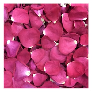 30 cups. BIG Sale on 10 colors of Real Rose Petals. Freeze-dried Wedding Petals. Flower Confetti. Dried Petals. Regular price 74.95 Sale 45.