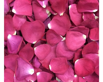 May include: A close-up image of a pile of deep pink rose petals. The petals are soft and delicate, with a slightly velvety texture.