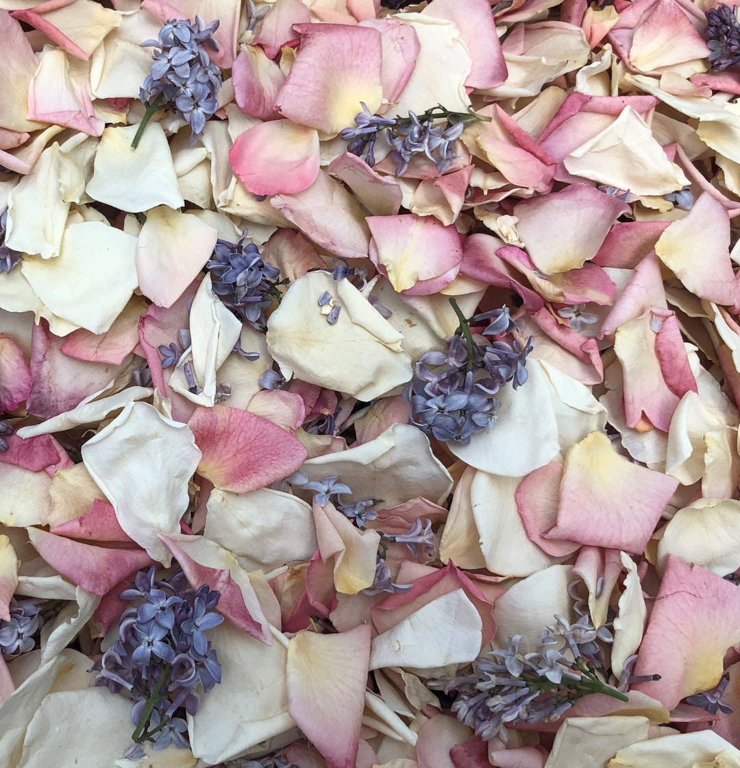 Spring Fling Rose Petal Blend: Natural Wedding Confetti, Lavender Lilac ...