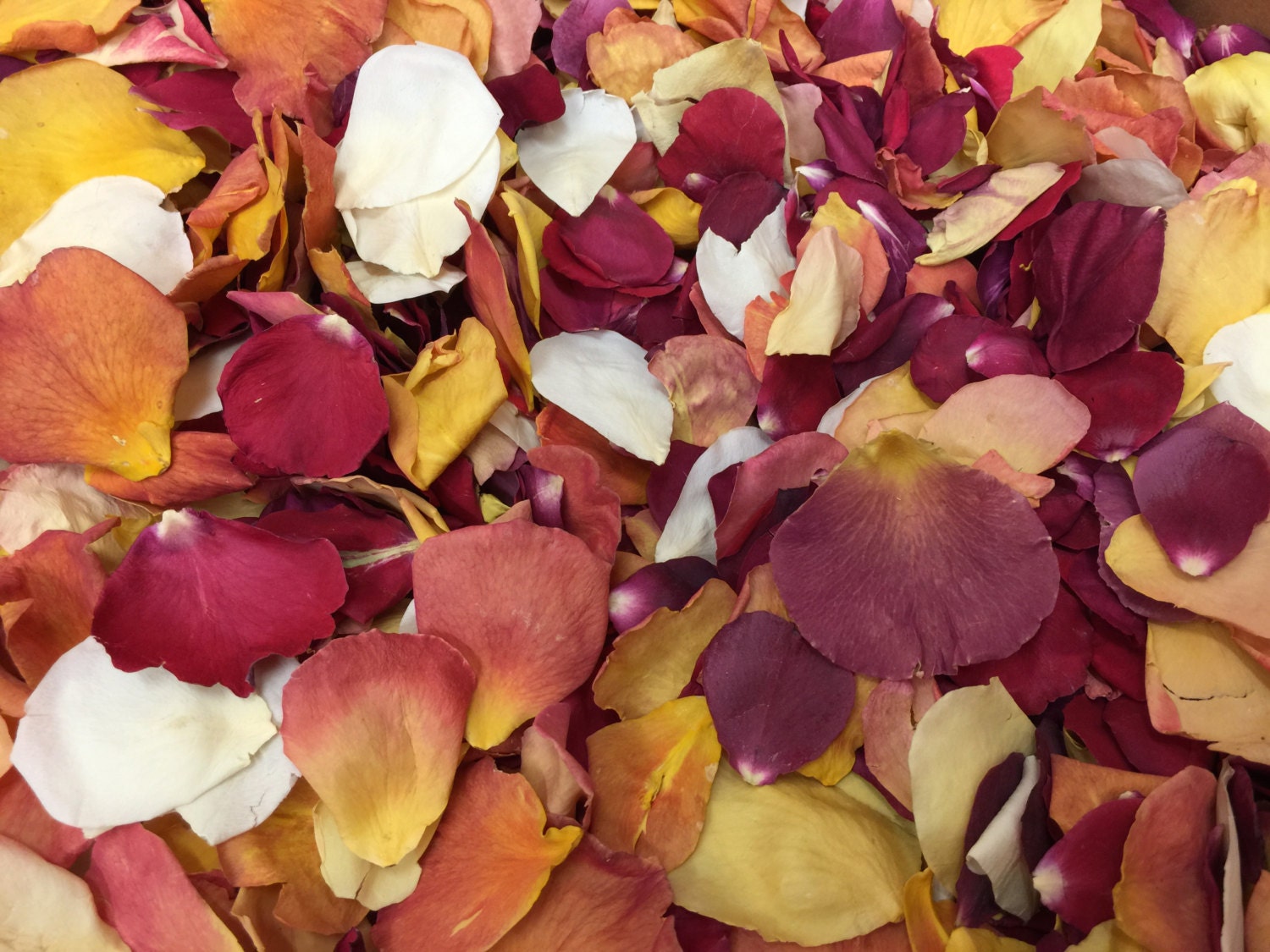 Autumn Wedding Petal. 10 Cups. Rose Petals. Flower Petals. Etsy