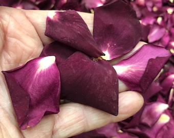 Merlot Freeze-Dried Rose Petals: Biodegradable Confetti. 50 Cups Natural Wedding Confetti