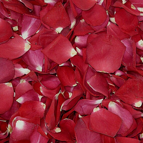 Bridal Red Preserved Freeze Dried Rose Wedding Petals