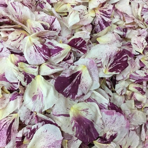 10 cups Berry Twist Freeze-dried Rose Petals. Wedding Petals.Rose Petals. Flower Petals. Petals. Dried Petals.Flower Girl Petals.Made in USA