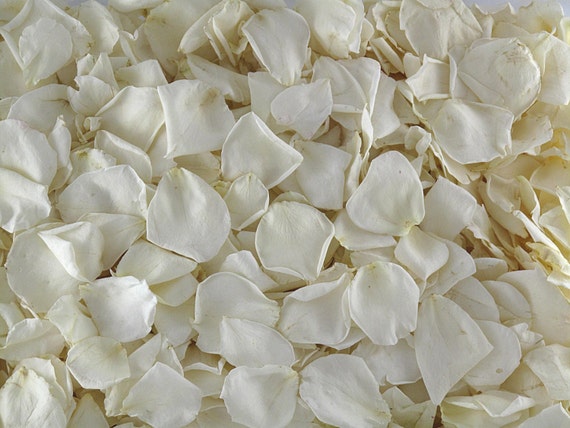 messenger bolsa supreme